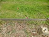 image of grave number 683879